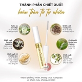 DƯỠNG MI DHC EYELASH TONIC NHẬT BẢN MẪU MỚI