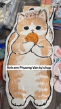 Thảm mèo cá - thảm lông cừu  60x120cm