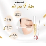DƯỠNG MI DHC EYELASH TONIC NHẬT BẢN MẪU MỚI
