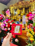 Bộ giải hạn Thái Tuế 2025 ( tuổi Dần, Thân, Tỵ, Hợi)