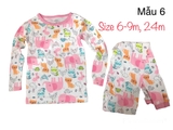 Bộ cotton hàng XNVK xịn- mẫu 6 ( size US)