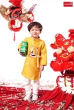 Áo dài bạch hạc vàng