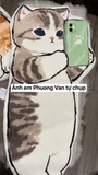 Thảm mèo xem điện thoại - thảm lông cừu  60x120cm