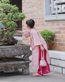 Áo dài gấm Tô Châu- hàng thiết kế