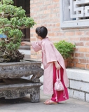 Áo dài gấm Tô Châu- hàng thiết kế