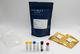 Kit phát hiện Acetobacter_spp bằng RT-PCR