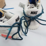 NK - SB Dunk (low) Beige Blue