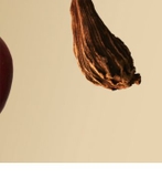 NƯỚC HOA BOSS Bottled Eau de Parfum – HUGO BOSS – NHẬP KHẨU CHÍNH HÃNG TỪ CHLB ĐỨC