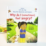 Usborne Lift-the-flap Very First Questions and Answers, sách lật mở khám phá cho bé