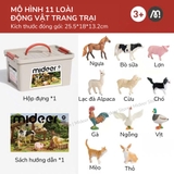 Mô hình khủng long mini cao su mềm Mideer Dinosaur Toys Set jurassic world T-rex spinosaurus