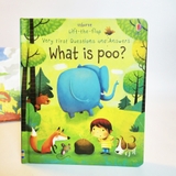 Usborne Lift-the-flap Very First Questions and Answers, sách lật mở khám phá cho bé