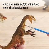 Mô hình khủng long mini cao su mềm Mideer Dinosaur Toys Set jurassic world T-rex spinosaurus