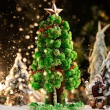 Cây Thông Noel Thần Kì DIY - Mideer Magic Christmas Tree