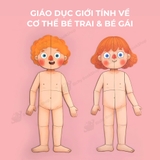 Mideer Human Body Magnetic Puzzle – Bộ Xếp Hình Nam Châm Cơ Thể Người