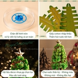 Cây Thông Noel Thần Kì DIY - Mideer Magic Christmas Tree