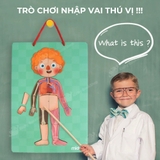 Mideer Human Body Magnetic Puzzle – Bộ Xếp Hình Nam Châm Cơ Thể Người