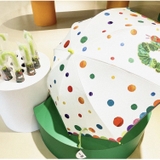 Ô Dù MIDEER Kids'umbrella Eric Carles Hình Chú Sâu Háu Ăn