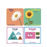 Sách Song Ngữ Anh - Việt - My First Picture Book - Thư viện hình ảnh đầu tiên cho bé (Kèm file nghe tiếng Anh)