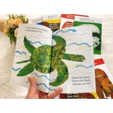 Sách Brown Bear What do you see? - Bộ 4 cuốn kèm file nghe