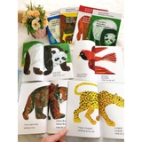 Sách Brown Bear What do you see? - Bộ 4 cuốn kèm file nghe