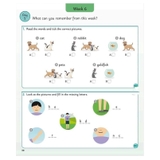 Sách - English for Everyone Junior 5 words a day