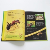 Bộ sách Usborne Beginner Nature bìa cứng 10 cuốn