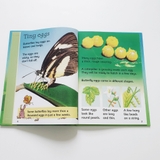 Bộ sách Usborne Beginner Nature bìa cứng 10 cuốn