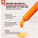 Bút màu sáp hữu cơ kèm quai xách - Mideer Silky Crayon