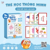 Thẻ học thông minh Flashcard mini song ngữ Anh Việt nhiều chủ đề cho bé - Thẻ học thông minh Lalala baby