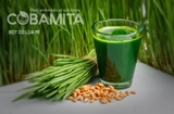 Bột cỏ lúa mì COBAMITA Powder 14 gói
