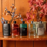 Gucci absolute 90ml