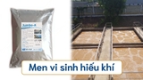 Men vi sinh hiếu khí Jumbo-A | Cải thiệt chất lượng nước thải