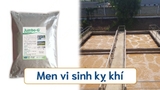 Men vi sinh kỵ khí Jumbo G | Cải thiệt chất lượng nước thải