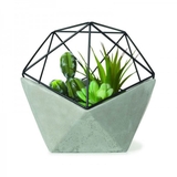 Vườn treo thu nhỏ hiện đại