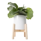 Luas Nuide chậu trắng cùng đôn gỗ xinh xắn