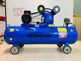 Máy nén khí Piston Pegasus - Model: TM-V-0.25/8-120L