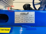 Máy nén khí Piston Pegasus - Model: TM-V-0.25/8-120L