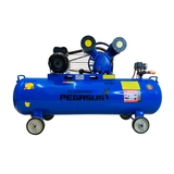 Máy nén khí Piston Pegasus - Model: TM-V-0.25/8-120L