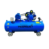 Máy nén khí Piston Pegasus - Model: TM-W-0.67/12.5-330L