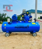 Máy nén khí Piston Pegasus - Model: TM-W-0.67/12.5-330L