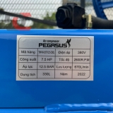 Máy nén khí Piston Pegasus - Model: TM-W-0.67/12.5-330L