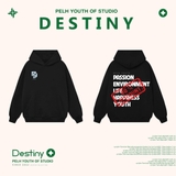 Hoodie PY