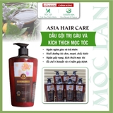 Dầu gội 2 trong 1 Chăm sóc sạch da đầu kích thích mọc tóc ASIA HAIR CARE 450g