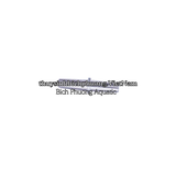 BỘ PHỤ KIỆN VAN CHIA NỐI OXY LEECOM | CHECK VALVE