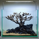 ĐÁ ĐEN GIA LAI – ĐÁ TRANG TRÍ HỒ CÁ THỦY SINH, LÓT NỀN, DECOR