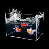 HỒ SHOW CÁ ACRYLIC EBI - HỒ CÁ MINI