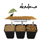 ĐẤT NỀN AKADAMA SOIL NHẬT BẢN