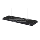ĐÈN LED WEEK P SERIES PRO VER 3