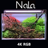 ĐÈN LED NALA RGB