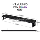 ĐÈN LED WEEK P SERIES PRO VER 3